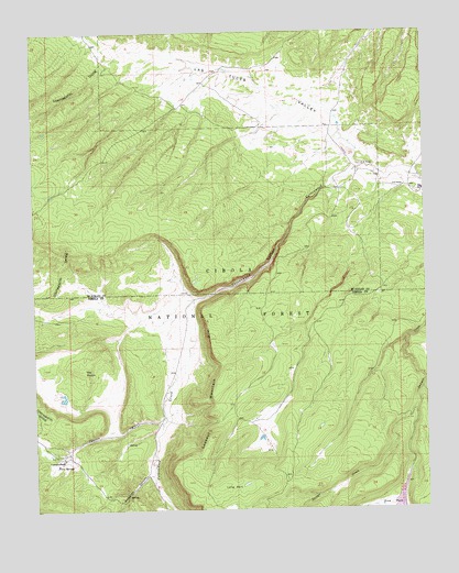 Cottonwood Canyon, NM USGS Topographic Map