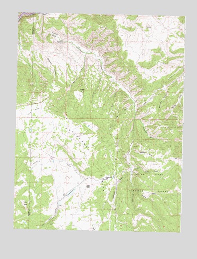 Cottonwood Pass, CO USGS Topographic Map