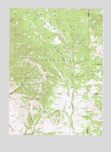 Cottonwood Peak, ID USGS Topographic Map