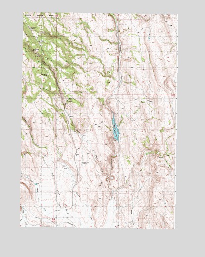 Cottonwood Reservoir, OR USGS Topographic Map