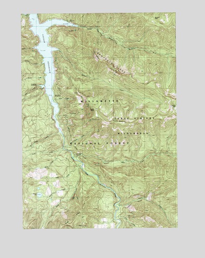 Cougar Reservoir, OR USGS Topographic Map
