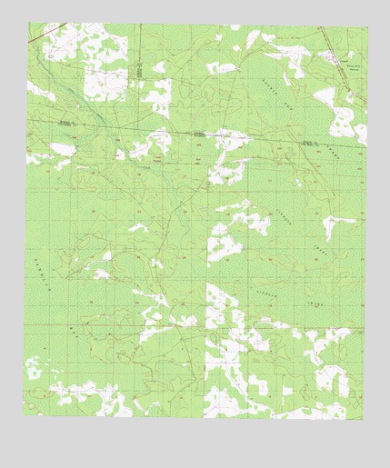 Council, GA USGS Topographic Map