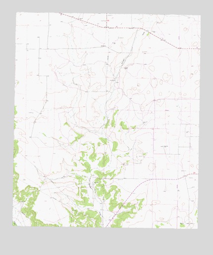 Coupe Ranch, TX USGS Topographic Map