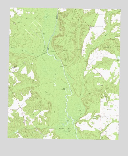 Cow Hell Swamp, GA USGS Topographic Map