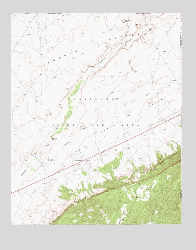 Cow Springs, AZ USGS Topographic Map