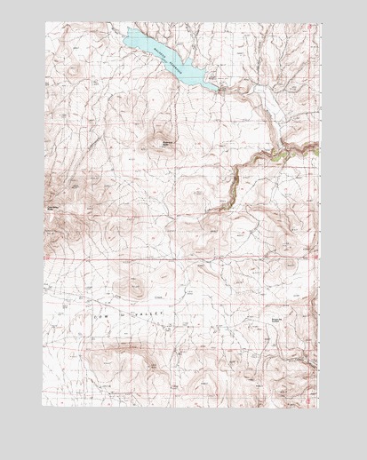 Cow Valley East, OR USGS Topographic Map