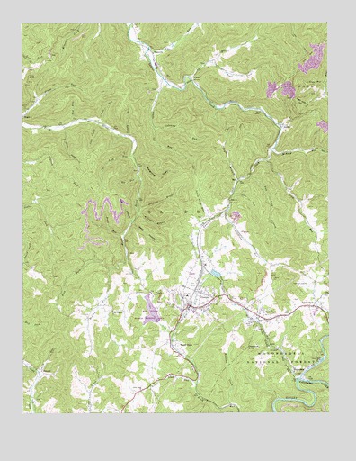 Cowen, WV USGS Topographic Map