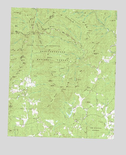Cowrock, GA USGS Topographic Map