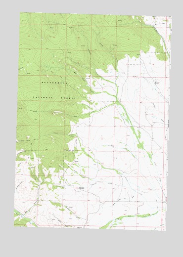 Coyote Creek, MT USGS Topographic Map