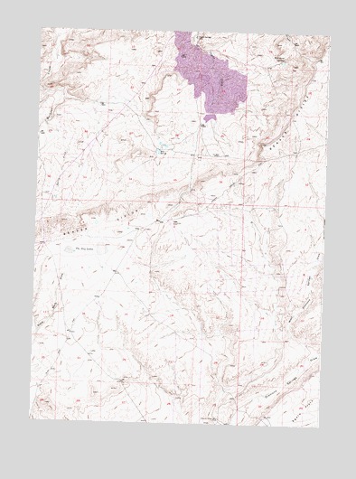 Coyote Springs, WY USGS Topographic Map