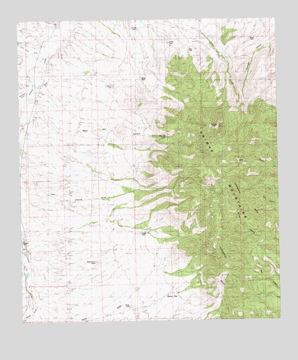 Animas Peak, NM USGS Topographic Map