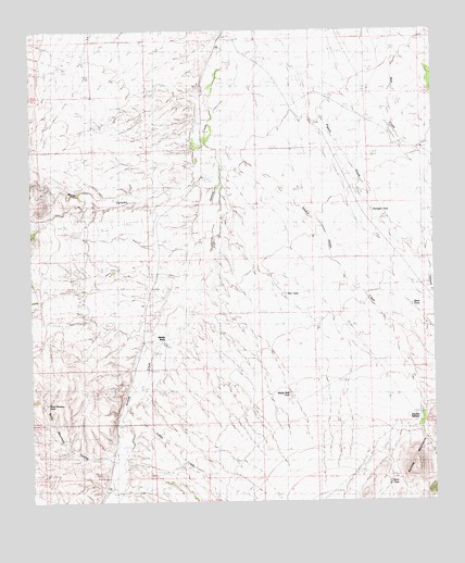 Animas Peak NE, NM USGS Topographic Map