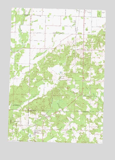 Aniwa, WI USGS Topographic Map