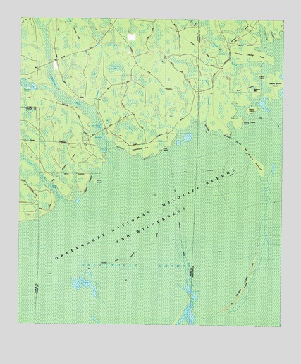 Cravens Island, GA USGS Topographic Map