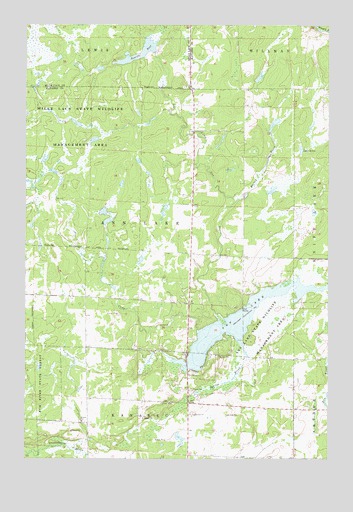 Ann Lake, MN USGS Topographic Map