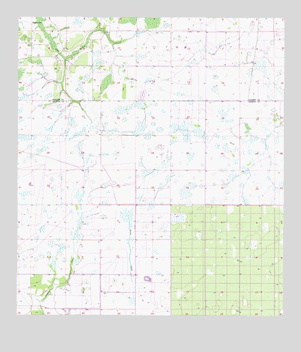 Crewsville SW, FL USGS Topographic Map