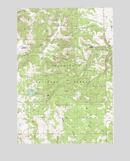Crooked River Point, ID USGS Topographic Map