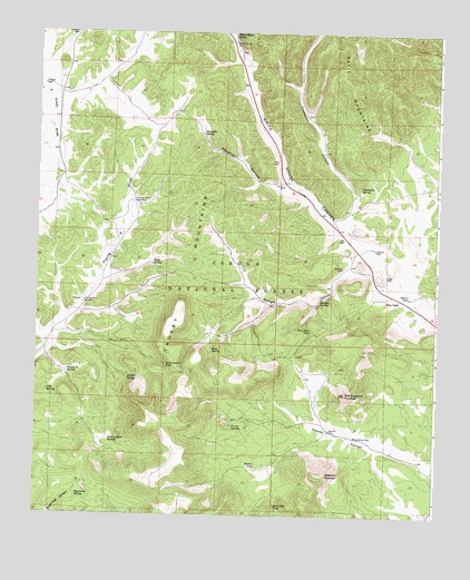 Crosby Springs, NM USGS Topographic Map