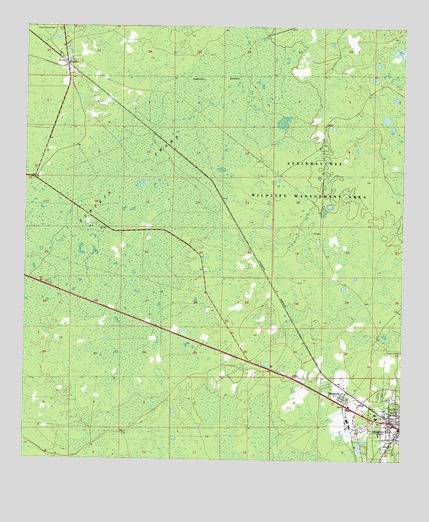 Cross City West, FL USGS Topographic Map