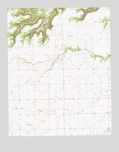 Cross L Ranch SW, NM USGS Topographic Map