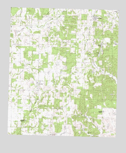 Cross Roads, TX USGS Topographic Map