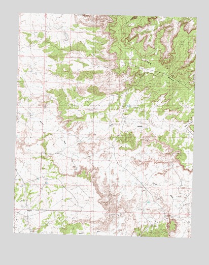 Crow Mesa West, NM USGS Topographic Map