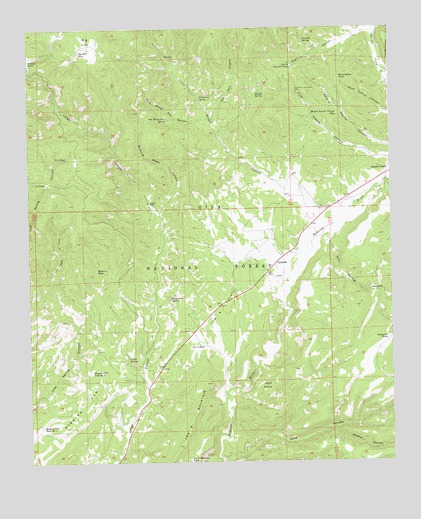 Cruzville, NM USGS Topographic Map