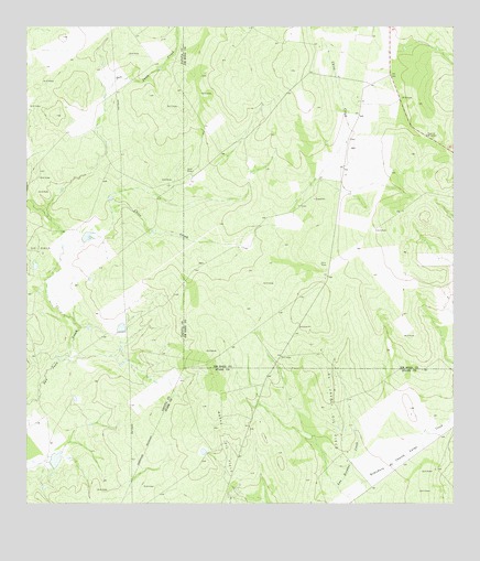 Cuevitas SW, TX USGS Topographic Map