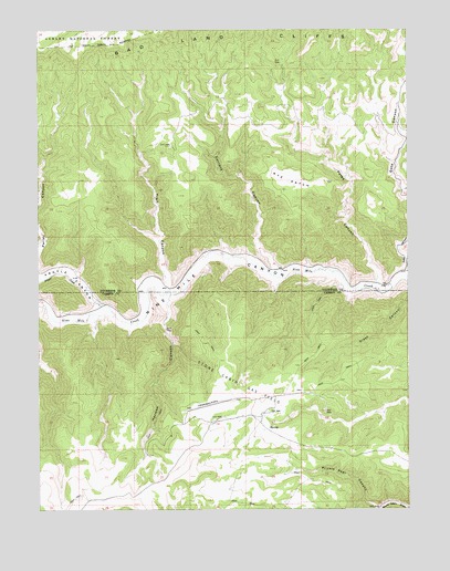 Currant Canyon, UT USGS Topographic Map