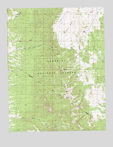 Currant Mountain, NV USGS Topographic Map