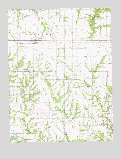 Curryville, MO USGS Topographic Map