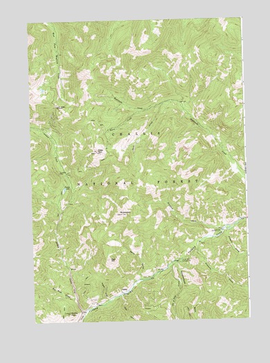 Custer, ID USGS Topographic Map
