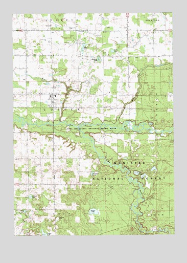 Custer, MI USGS Topographic Map