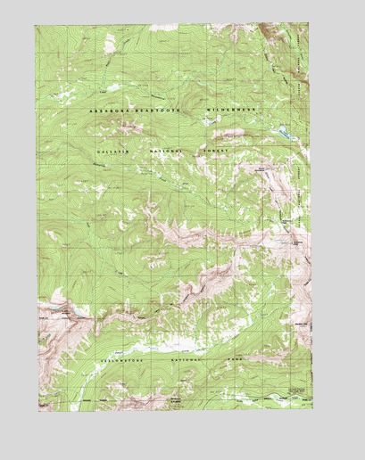 Cutoff Mountain, MT USGS Topographic Map