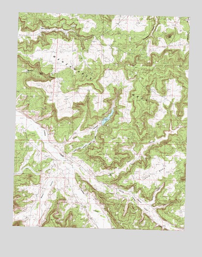 Cutter Canyon, NM USGS Topographic Map