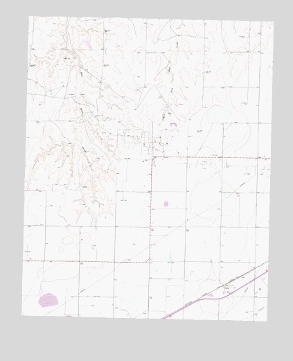 Cuyler, TX USGS Topographic Map