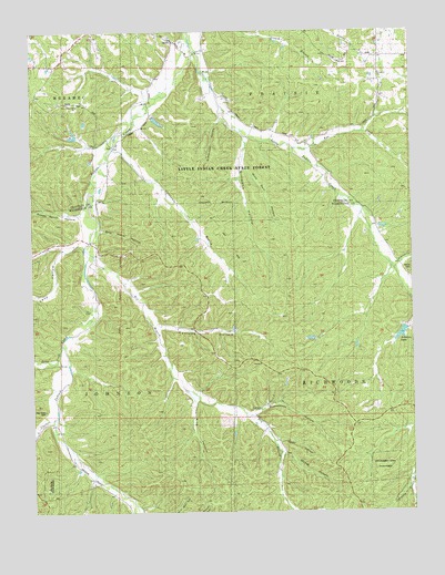 Cyclone Hollow, MO USGS Topographic Map