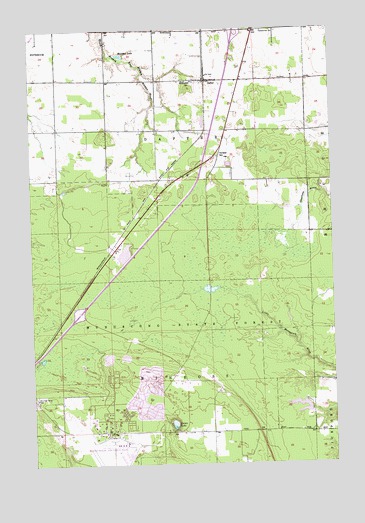 Dafter, MI USGS Topographic Map