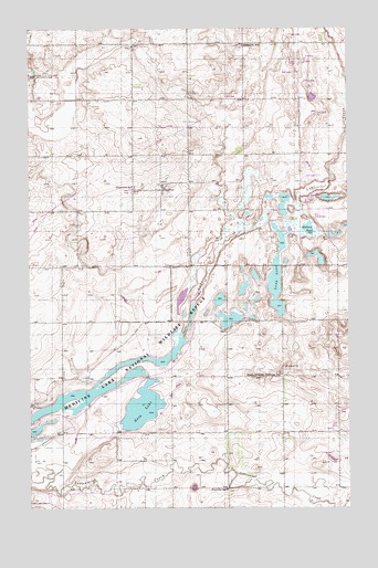 Dagmar, MT USGS Topographic Map