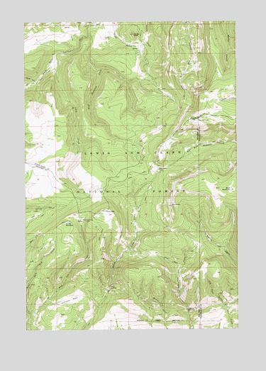 Daisy Peak, MT USGS Topographic Map
