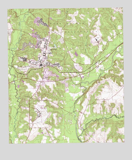 Daleville, AL USGS Topographic Map