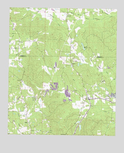 Daleville, MS USGS Topographic Map