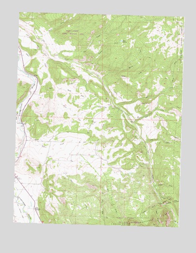 Dallas, CO USGS Topographic Map