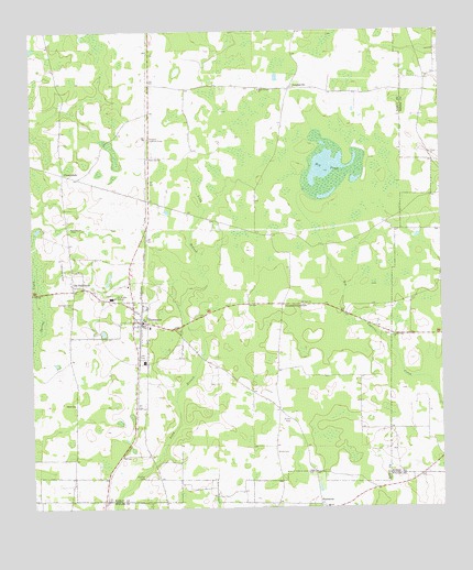 Damascus, GA USGS Topographic Map