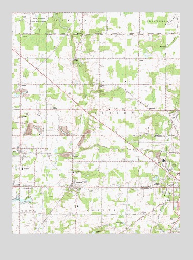 Damascus, OH USGS Topographic Map