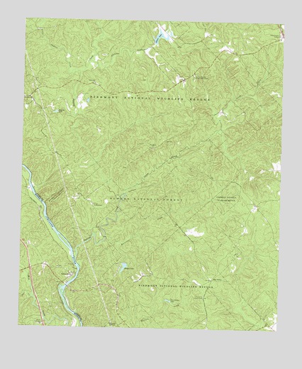 Dames Ferry, GA USGS Topographic Map