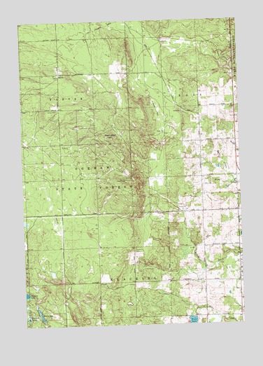 Damon, MI USGS Topographic Map