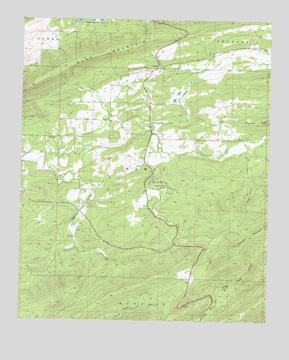 Damon, OK USGS Topographic Map