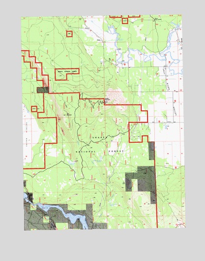 Dana, CA USGS Topographic Map