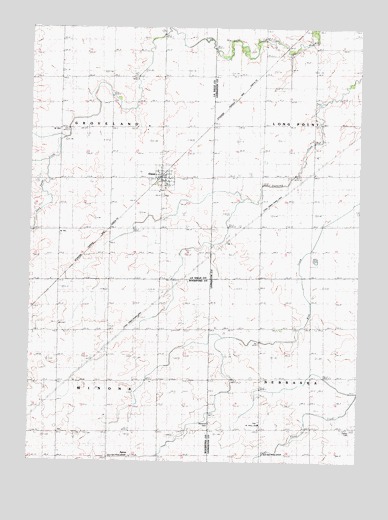 Dana, IL USGS Topographic Map